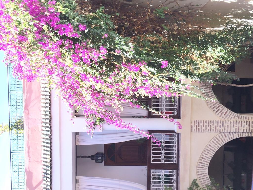 Riad Dar Palmyra Marrakesz Zewnętrze zdjęcie